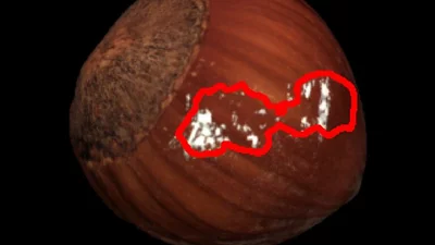 defect detection in a hazelnut with machine vision